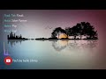 Finals Artist Silent Partner Genre Pop Mood Sad NOCOPYRIGHTMUSIC