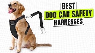 3 BEST Dog Car Safety Harnesses