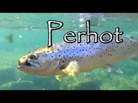 Perhokalastus osa 2: Perhot