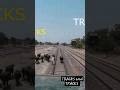 Live Big Buffalo hit with fastest train Green Line express #live #train #buffalo #shorts #animals