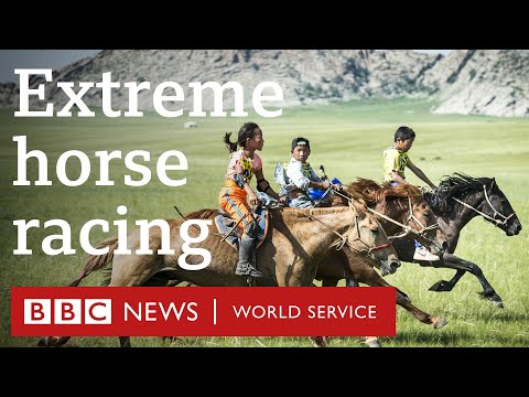 The longest horse race in the world - BBC World Service