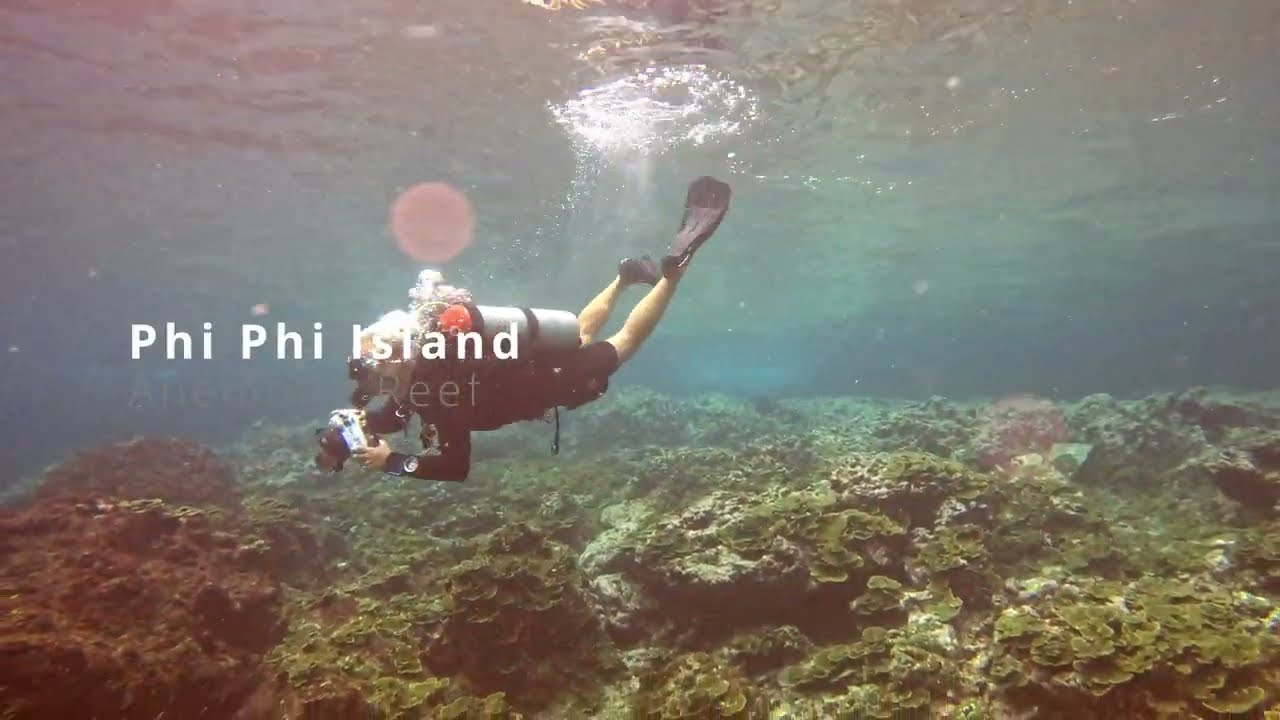 Anemone Reef offers a vibrant underwater landscape ideal for scuba diving!