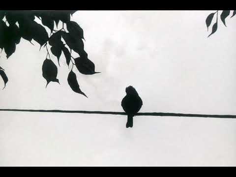 Sad Bird - SummerSky [ Original song from Sra Mouy Keo By Rous Sereysothea ]