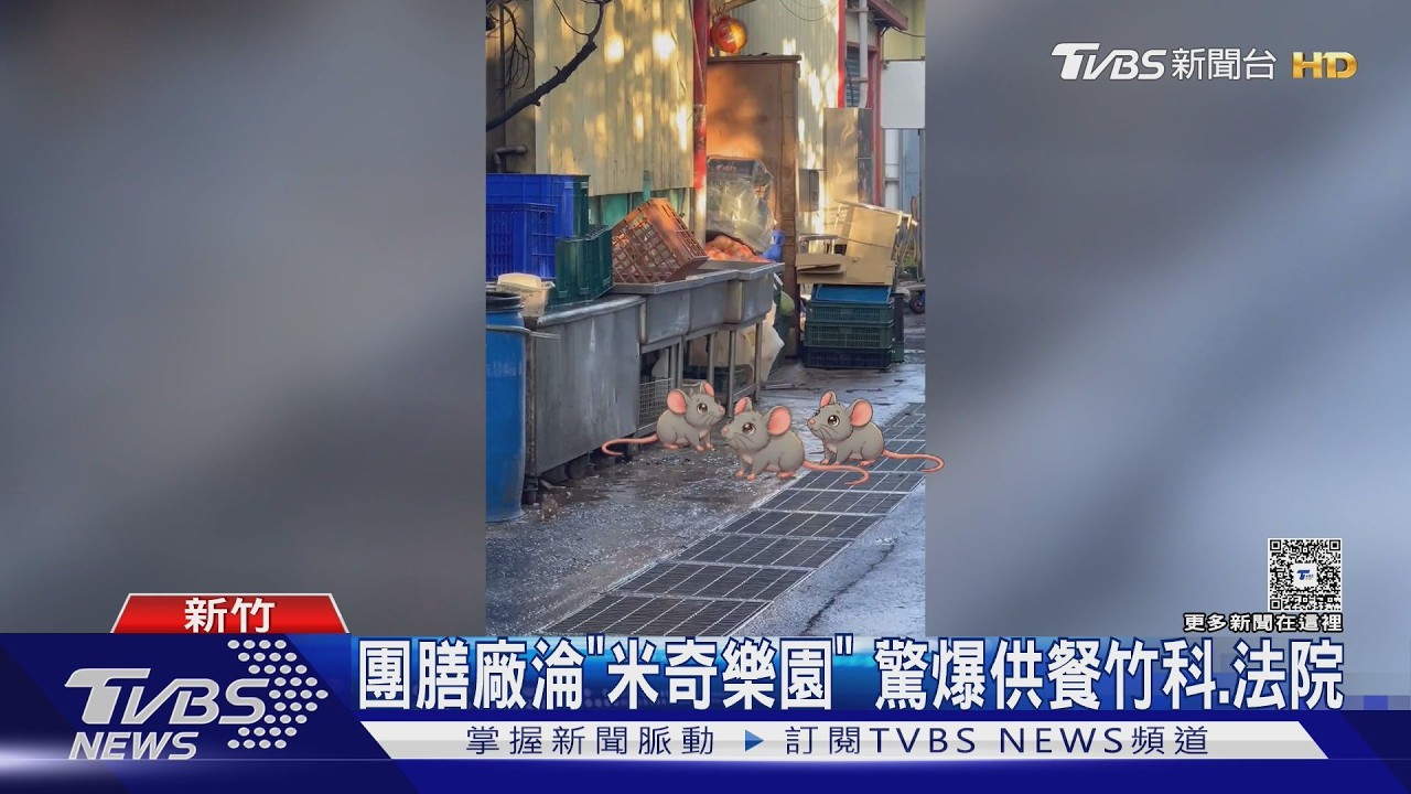 影音/驚悚畫面曝!團膳廚房「鼠輩橫行」 竹科園區、法院都吃這家