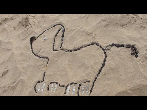 On the beach...Kinkhoorn aan zee 24 okt 2015 Mariakerke Oostende