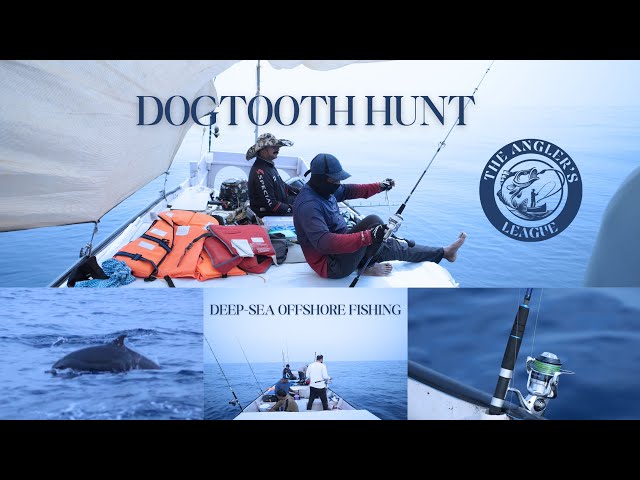 Judge.me YouTube video placeholder