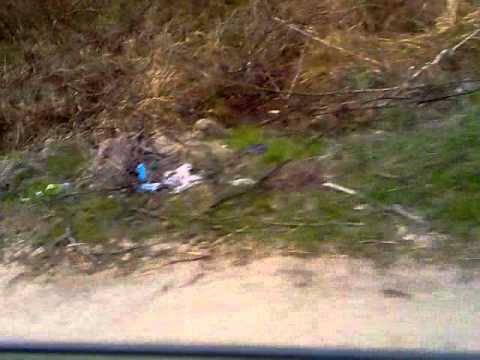 Rumunia - Częśc 2 - łąki i lasy