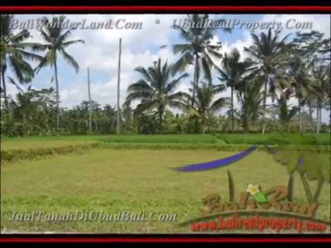 600 m2 Lahan View sungai dan sawah di Ubud TJUB427 600 m2 Lahan View sungai dan sawah di Ubud TJUB427