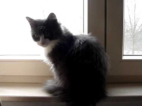 Naima's winter wonderland