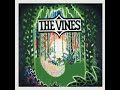 The Vines - Get Free (Guitar Backing Track)