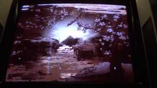 サムライスピリッツ閃(Samurai Spirits Sen): Taito-X2 Arcade