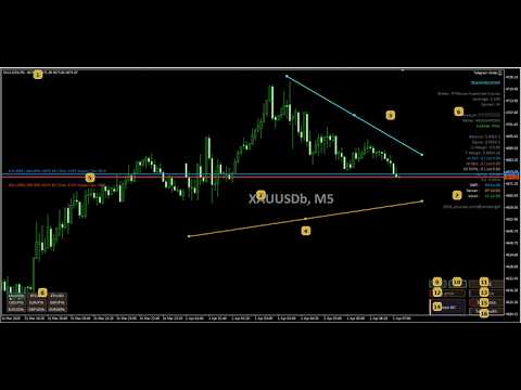 Video Telegram Order MT5