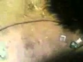 The Best Gif On The World Fuking Shit Puta Mierda