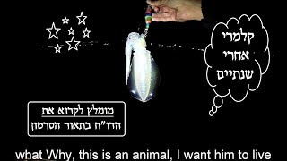 🦑 דיג קלמרי אחרי שנתיים ועוד | ארז כהן סרטוני דיג | Calamari fishing after two years and more 🦑
