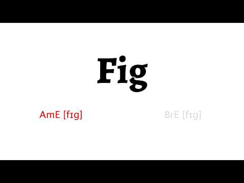How to Pronounce fig in American English and British Englishfig