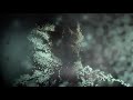 Cut The Bridge Official Audio Visualizer Linkin Park