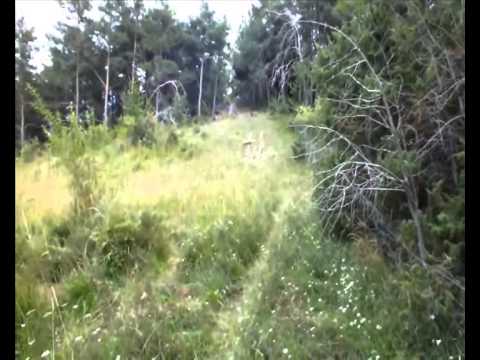 Grozer Biocomposite Assyrian