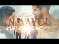 Pathi Neeye En Pathi Neeye Amaran Sivakarthikeyan Sai Pallavi GV Prakash Whats App Status
