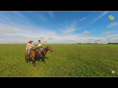 Rosangela Belisario - Vámonos pal' Baile (Visualizer)