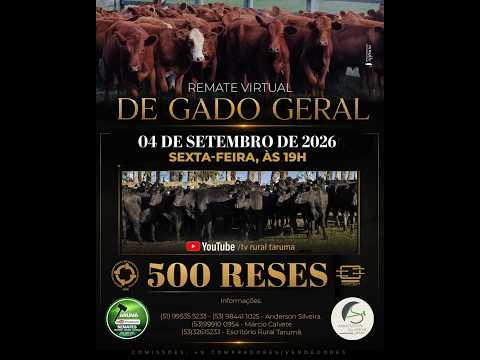LOTE 45 - 29 VAQUILHONAS