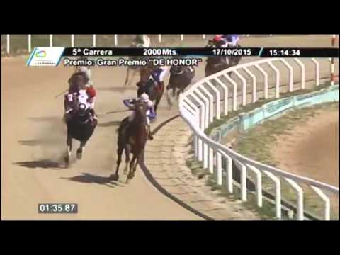 GRAN PREMIO DE HONOR - 1° HIELO