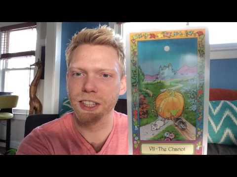 Tarot Reading Water Signs Spring time! Cancer Pisces Scorpio