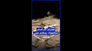 في مشهد نادر.. اكتشاف آثار أقدام ديناصورات عمرها 100 مليون عام في مطعم صيني thumbnail