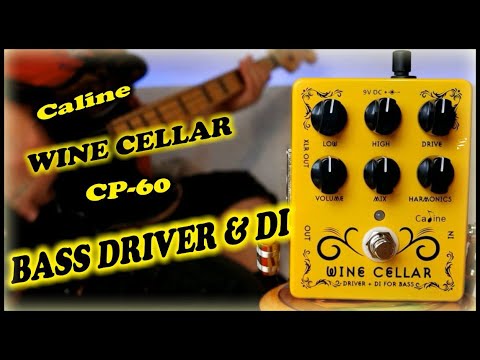 Caline CP-60 Wine Cellar Bass Drive and DI