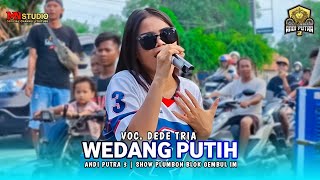 Download lagu WEDANG PUTIH VOC. DEDE TRIA | ANDI PUTRA 3 - SHOW PLUMBON BLOK GEMBUL IM mp3 Download lagu WEDANG PUTIH VOC. DEDE TRIA | ANDI PUTRA 3 - SHOW PLUMBON BLOK GEMBUL IM mp3