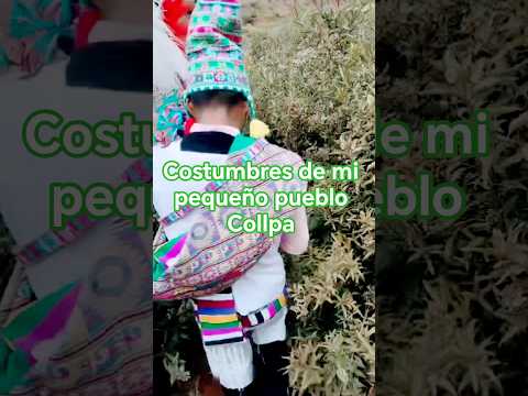 las costumbres en mi pequeño pueblo Collpa municipio Colquechaca Potosí Bolivia #cultura #tinku