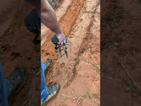 Turkey Scouting 101 with Andrew Maxwell