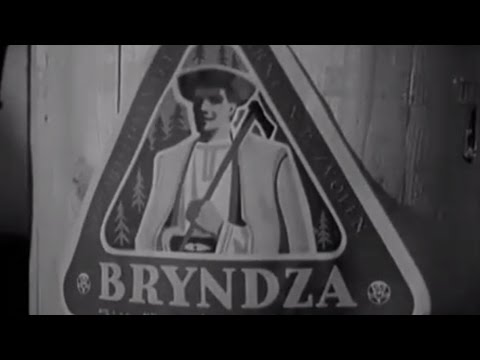 Bryndziareň vo Zvolenskej Slatine (1964)