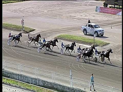 Trotto 13/06/2019 - 6ª corsa