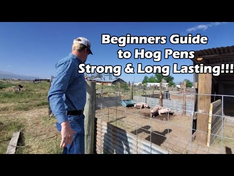 , title : 'Beginners guide to PIG PENS | STRONG, LONG LASTING!!'