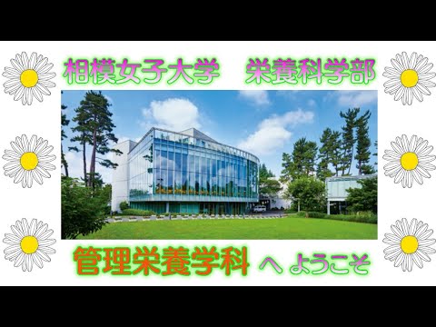 【相模女子大学】管理栄養学科　学科紹介MOVIE 2024