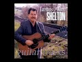 Guitar Tracks [1999] - James Alan Shelton