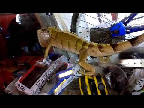 Hoje foi diferente 😄🐉🐲🐉🐲😮