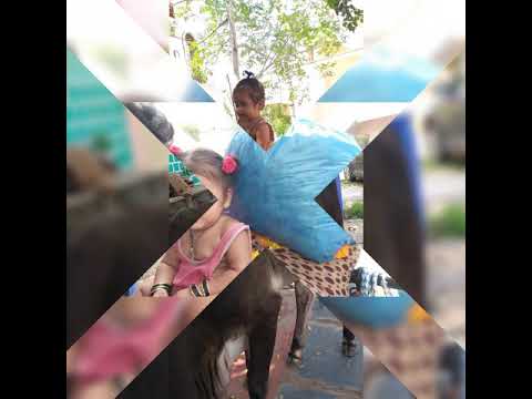 Hafsa happy birthday