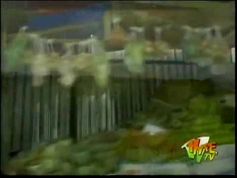 Turbulence - 4000 Years