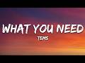 Tems - What You Need (Lyrics)