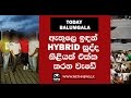 balumgala-hybrid-sudda-11-01-2017