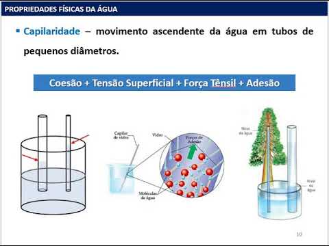 Propriedades da Água