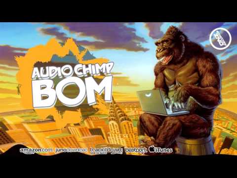 DNZF139 // AUDIO CHIMP - BOM (Official Video DNZ RECORDS)