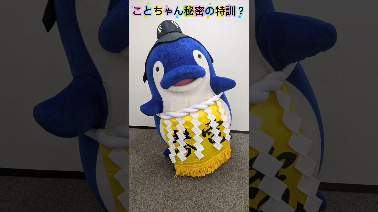 ことちゃん秘密の特訓 #ことでん #ことちゃん #かわいい #相撲 #横綱 #土俵入り