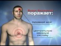 Бешенство № 74) 