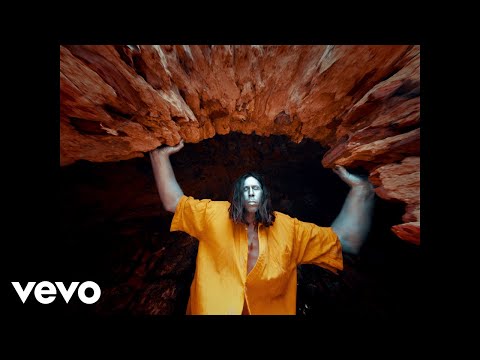 Naive New Beaters - Such a Waste