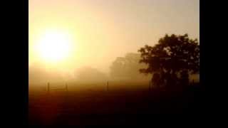 Sugar and the Hi-Lows - I've Got You Covered - Cover - Cameron Whitman