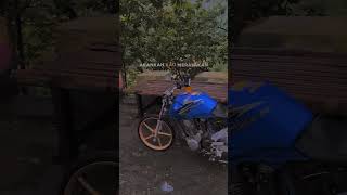 Download lagu story wa herex Tiger terbaru mp3