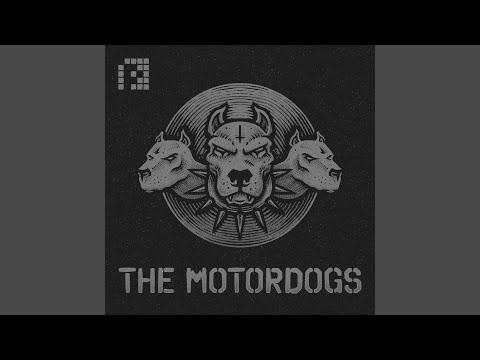 Bass Reaction (Original Mix)