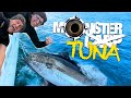 Dovey & Spooner VS Monster Tuna | Korda Carp Fishing